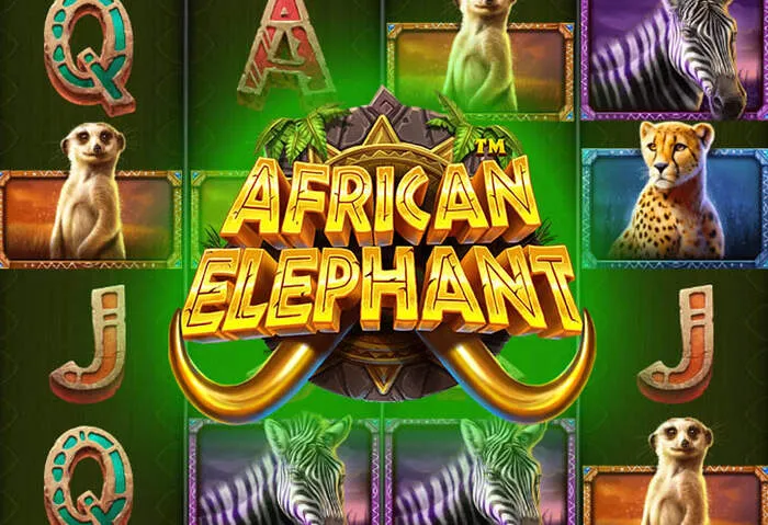 Supabets Südafrika Casinospiele Slot-Walzen drehen sich.