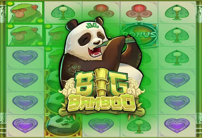 Modulo: Requisiti di Registrazione per il Bonus Supabets South Africa