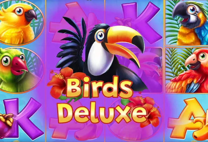 Daily rewards: Win with Supabets Games Free Spins promotions.