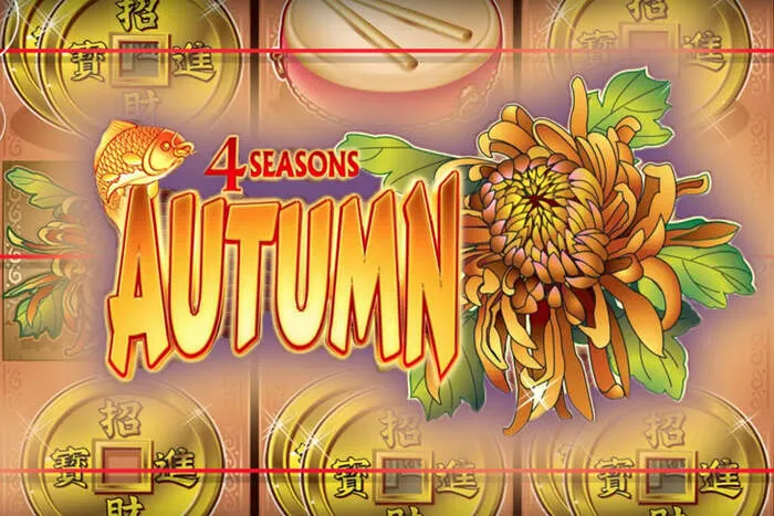 Exklusive Angebote mit Ihrem Supabets Südafrika Casino Bonus.